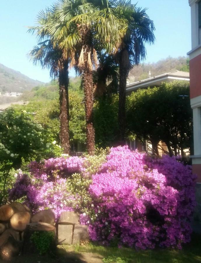 Vila Casa Orisca Lesa Exteriér fotografie